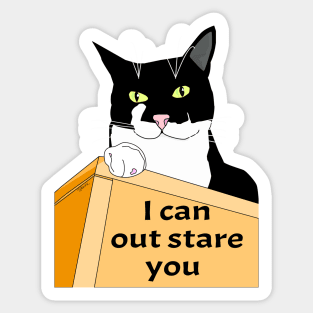 I can out stare you. I haz attitude Cute Tuxedo Cat. Copyright TeAnne Sticker